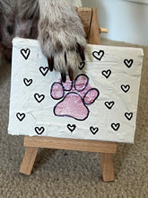 Load image into Gallery viewer, Sophie's Mini Paw Canvas