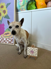 Load image into Gallery viewer, Sophie's Mini Paw Canvas